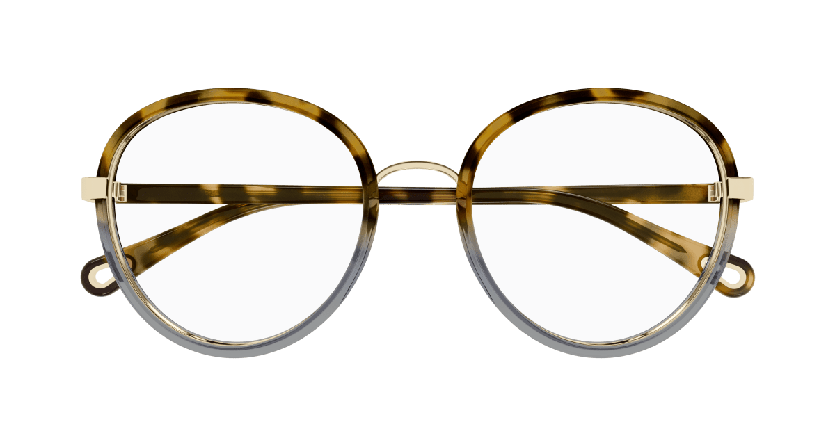 Chloé CH0308O Havana, 53mm 889652544496