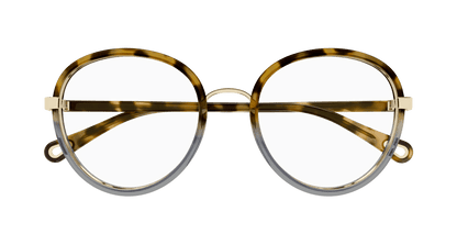 Chloé CH0308O Havana, 53mm 889652544496