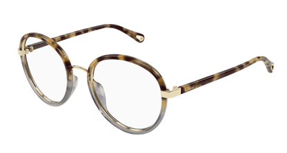 Chloé CH0308O Havana, 53mm 889652544496