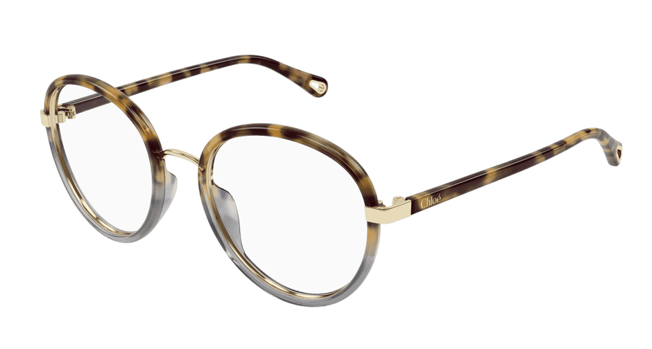 Chloé CH0308O Havana, 53mm 889652544496