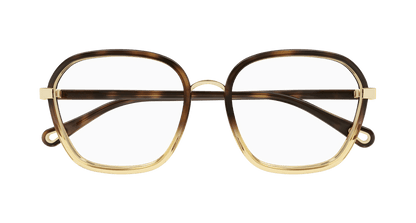 Chloé CH0309O Havana, 54mm 889652544526