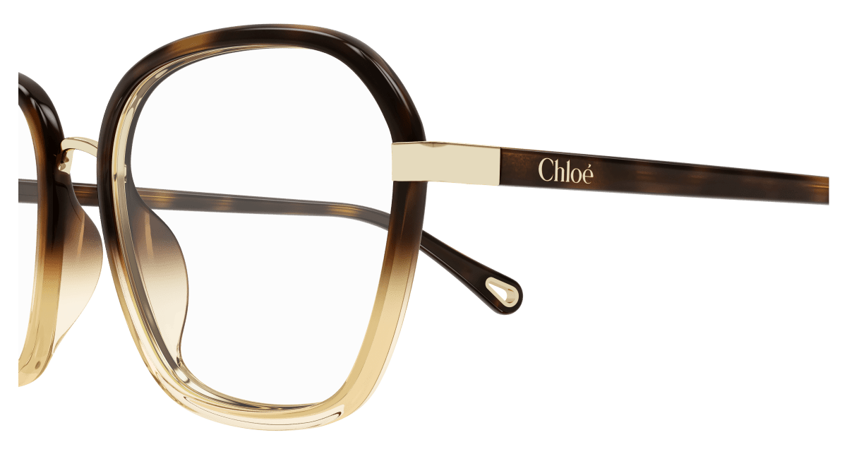Chloé CH0309O Havana, 54mm 889652544526