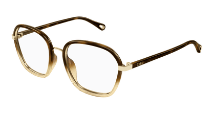 Chloé CH0309O Havana, 54mm 889652544526