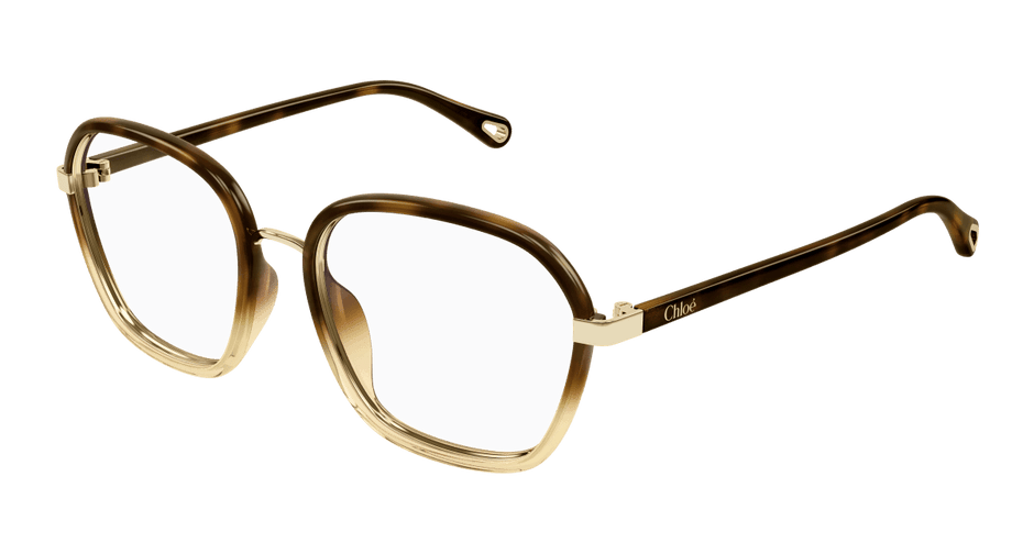 Chloé CH0309O Havana, 54mm 889652544526