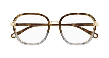 Chloé CH0309O Havana, 54mm 889652544533