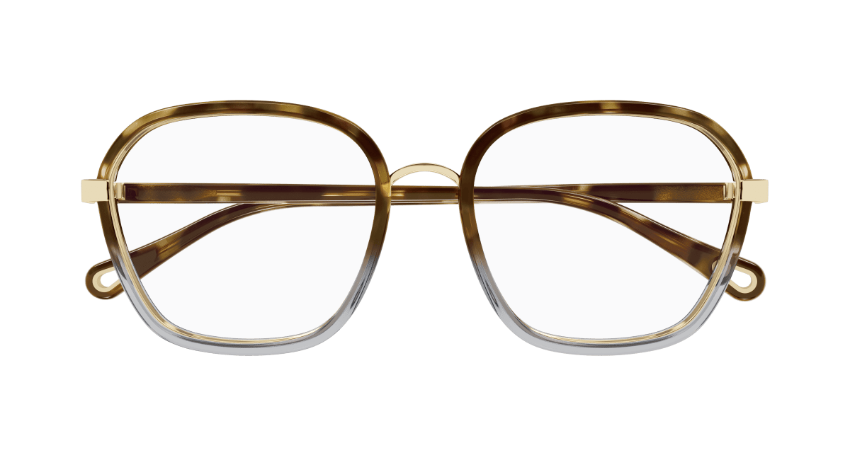 Chloé CH0309O Havana, 54mm 889652544533