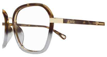 Chloé CH0309O Havana, 54mm 889652544533