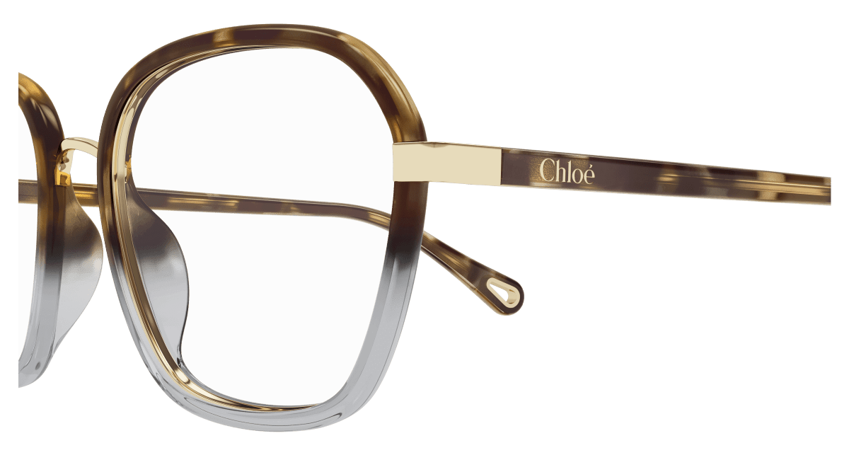 Chloé CH0309O Havana, 54mm 889652544533