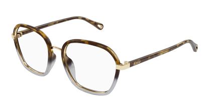 Chloé CH0309O Havana, 54mm 889652544533