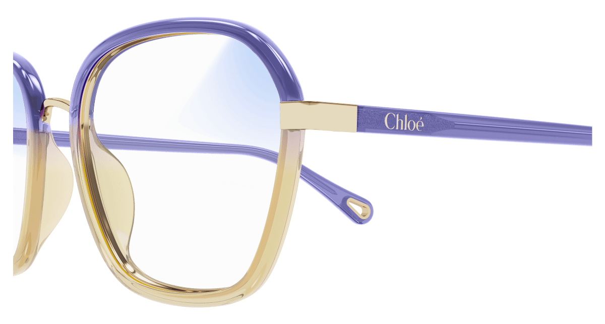 Chloé CH0309S Sunglasses 889652544557