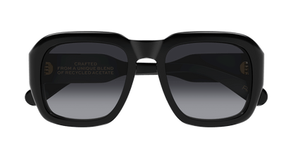 Chloe CH0310S Sunglasses 889652540948