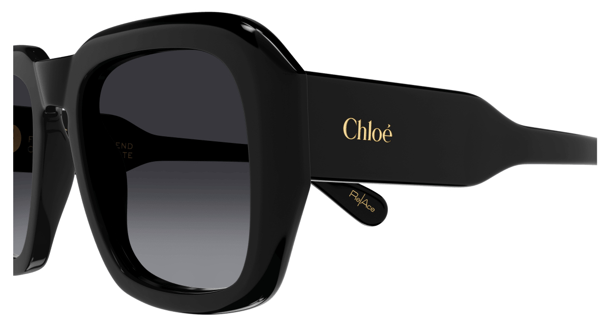 Chloé CH0310S Black/Grey 889652540948