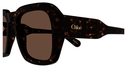 Chloé CH0310S Havana/Brown 889652540955