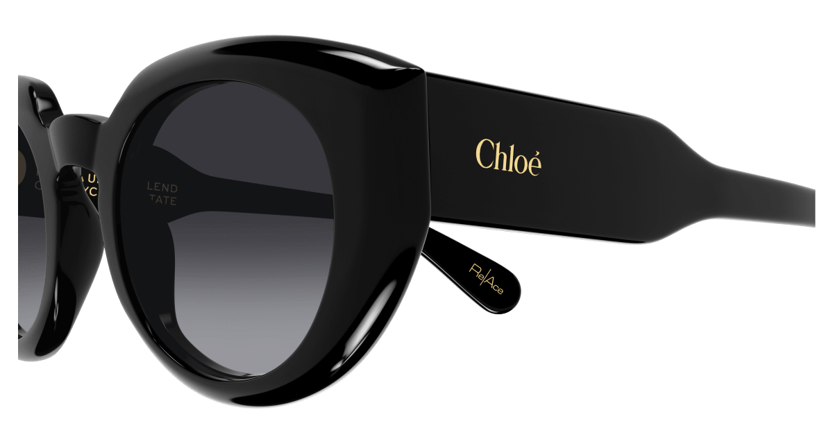 Chloé CH0311S Black/Grey 889652540993