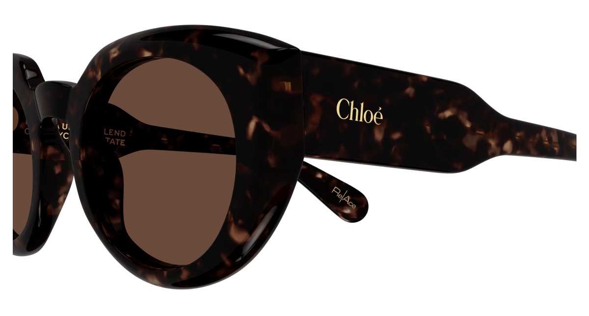 Chloé CH0311S Havana/Brown 889652541006