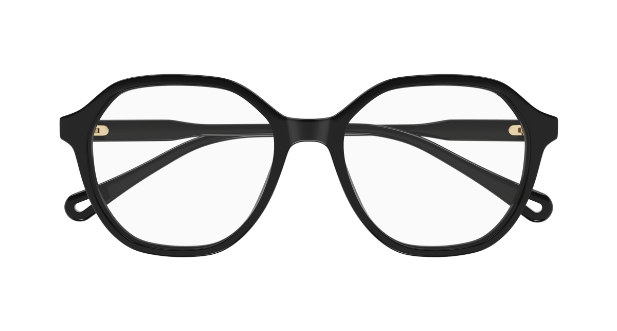 Chloe CH0312O Eyeglasses 889652544564