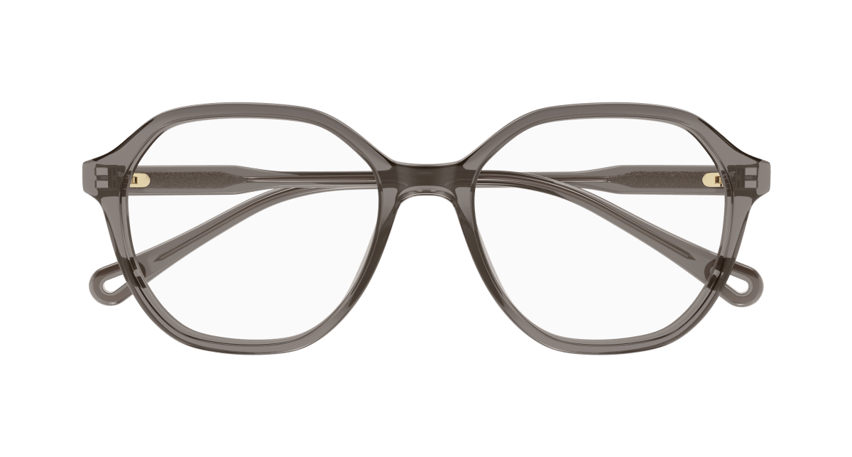 Chloé CH0312O Grey 889652544588
