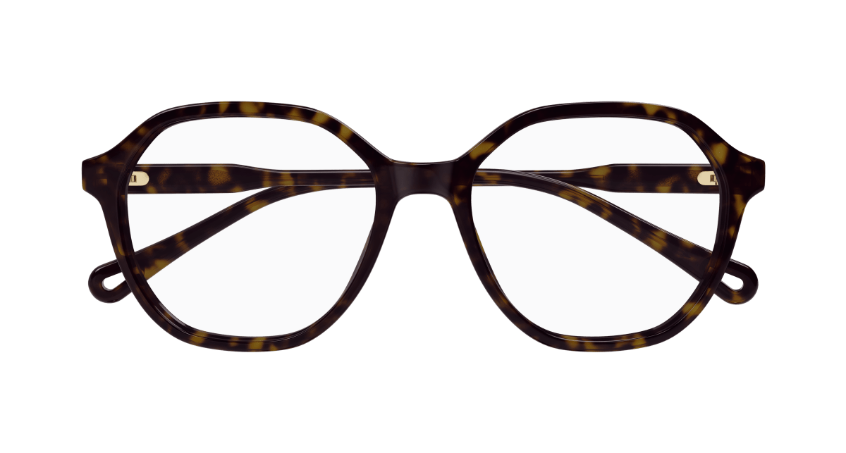 Chloé CH0312O Havana 889652544571