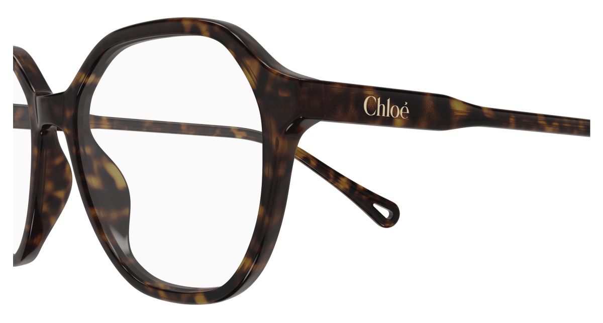 Chloé CH0312O Havana 889652544571