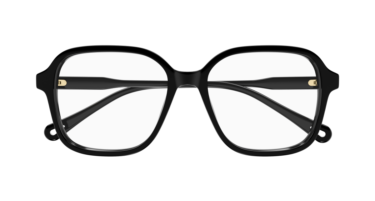 Chloe CH0313O Eyeglasses 889652544618