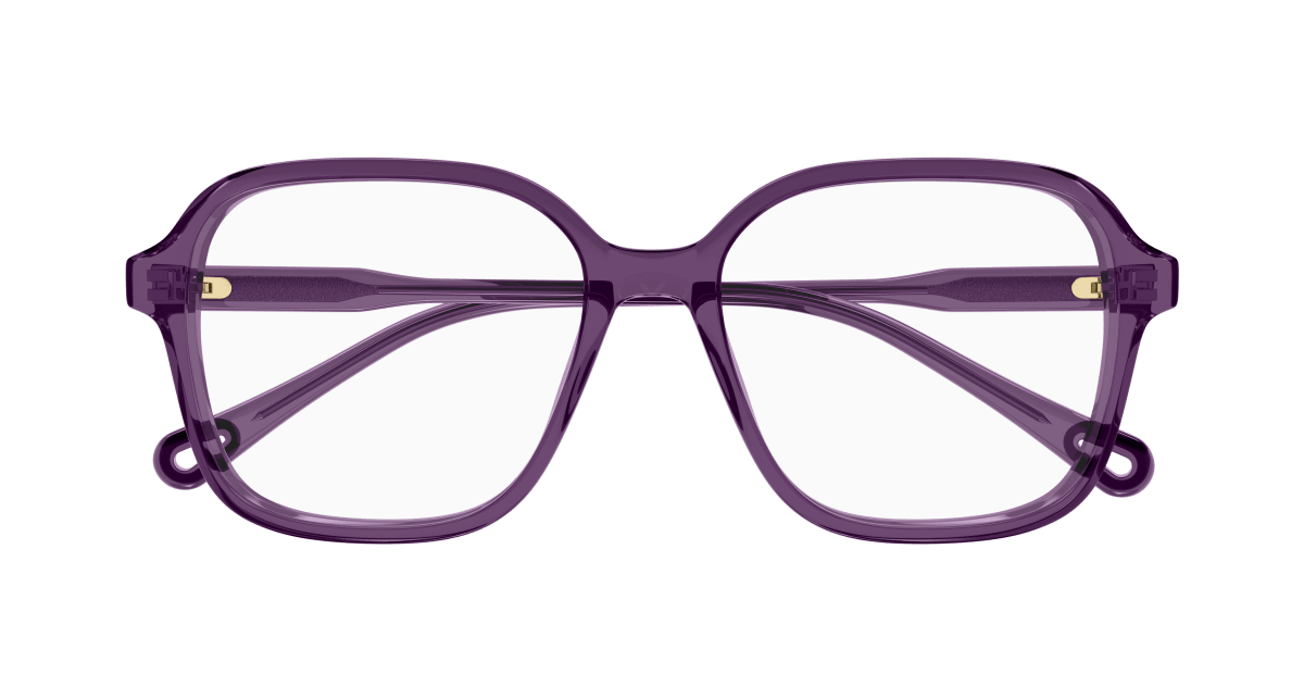 Chloe CH0313O Eyeglasses 889652544649