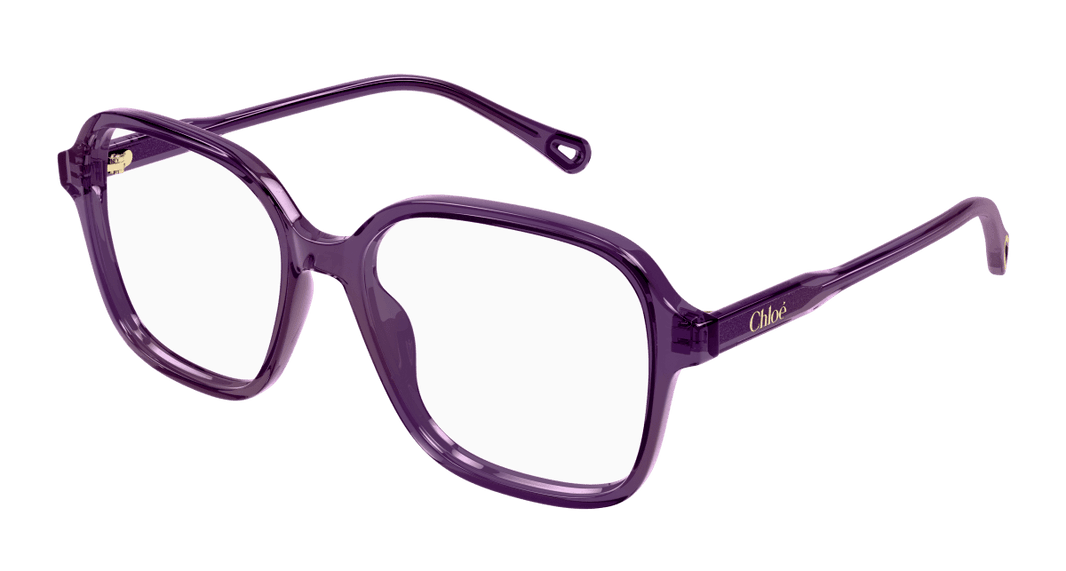 Chloe CH0313O Eyeglasses 889652544649