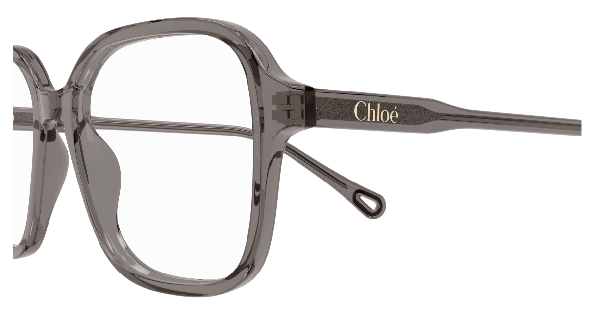 Chloé CH0313O Grey 889652544632