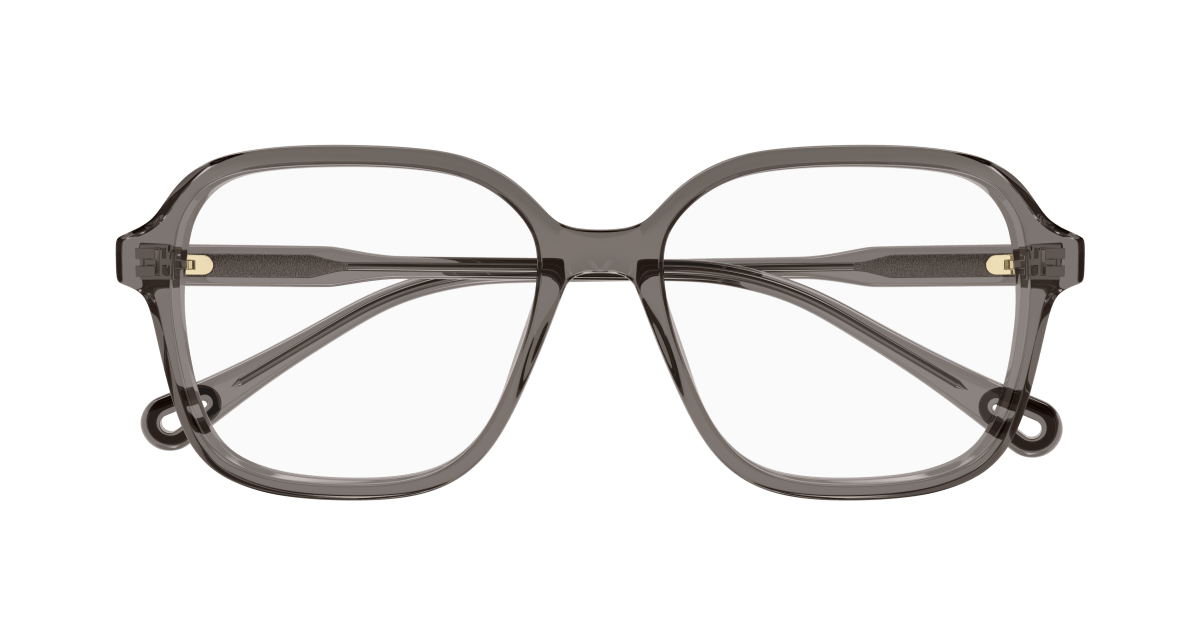 Chloé CH0313O Grey 889652544632