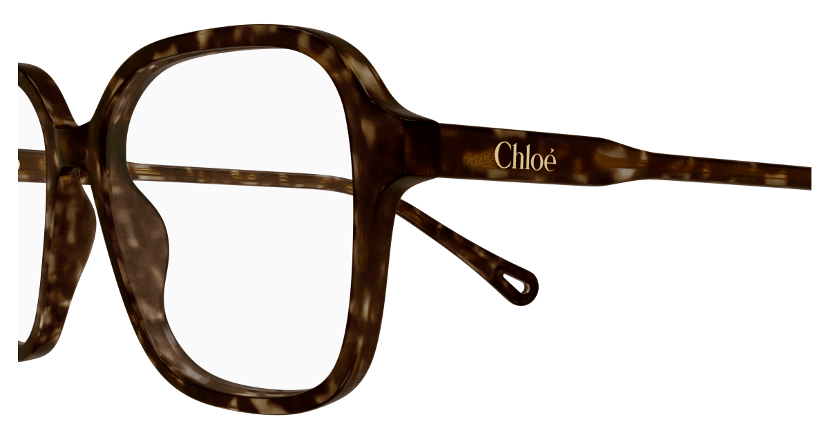Chloé CH0313O Havana 889652544625