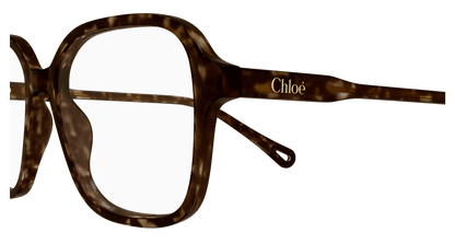 Chloé CH0313O Havana 889652544625