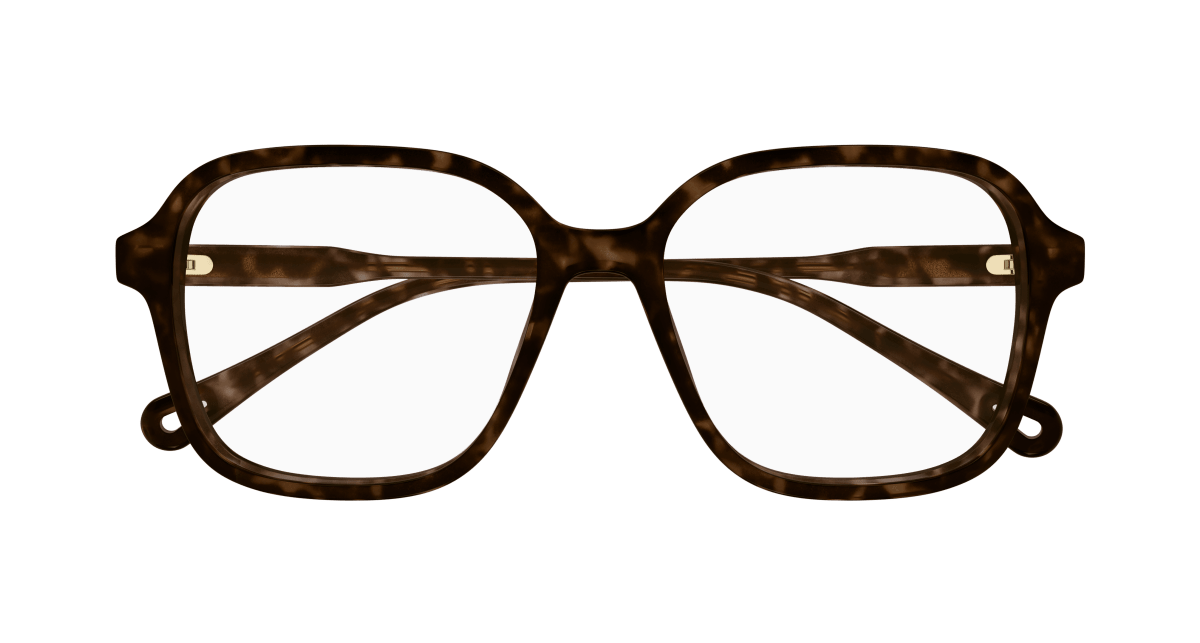 Chloé CH0313O Havana 889652544625