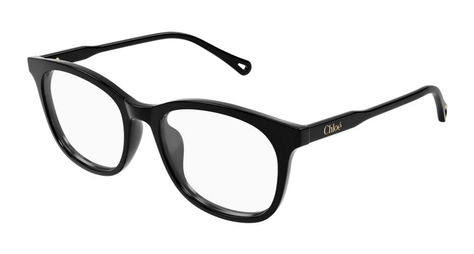 Chloé CH0314OA Black 889652544663