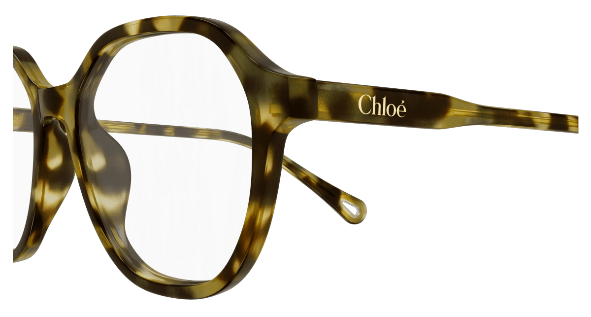Chloé CH0315OA Havana 889652544786