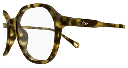 Chloé CH0315OA Havana 889652544786