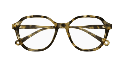 Chloé CH0315OA Havana 889652544786