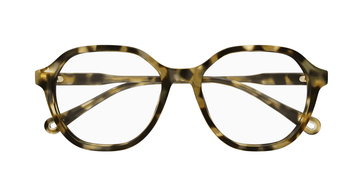 Chloé CH0315OA Havana 889652544786