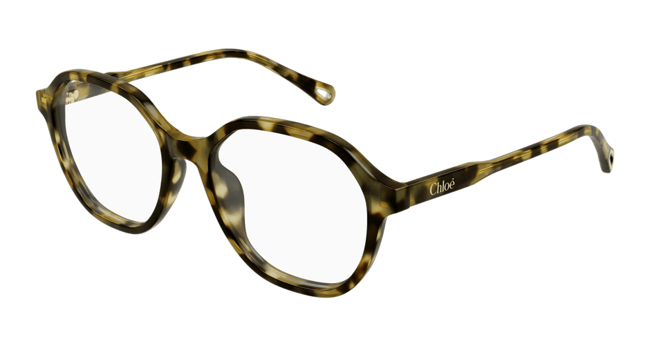 Chloé CH0315OA Havana 889652544786