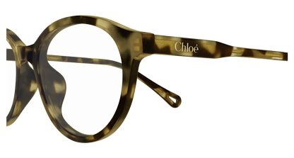 Chloé CH0316OA Havana 889652544717
