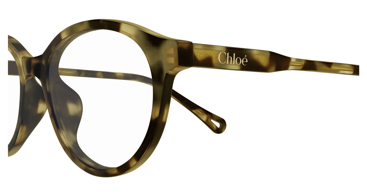 Chloé CH0316OA Havana 889652544717
