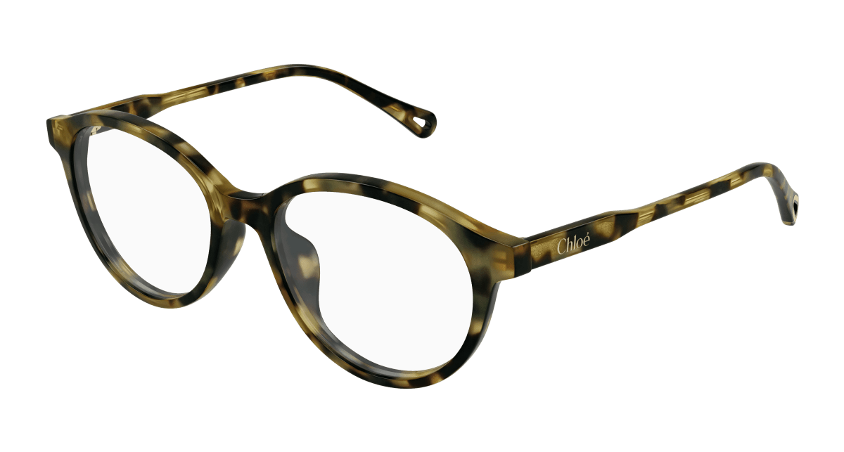 Chloé CH0316OA Havana 889652544717