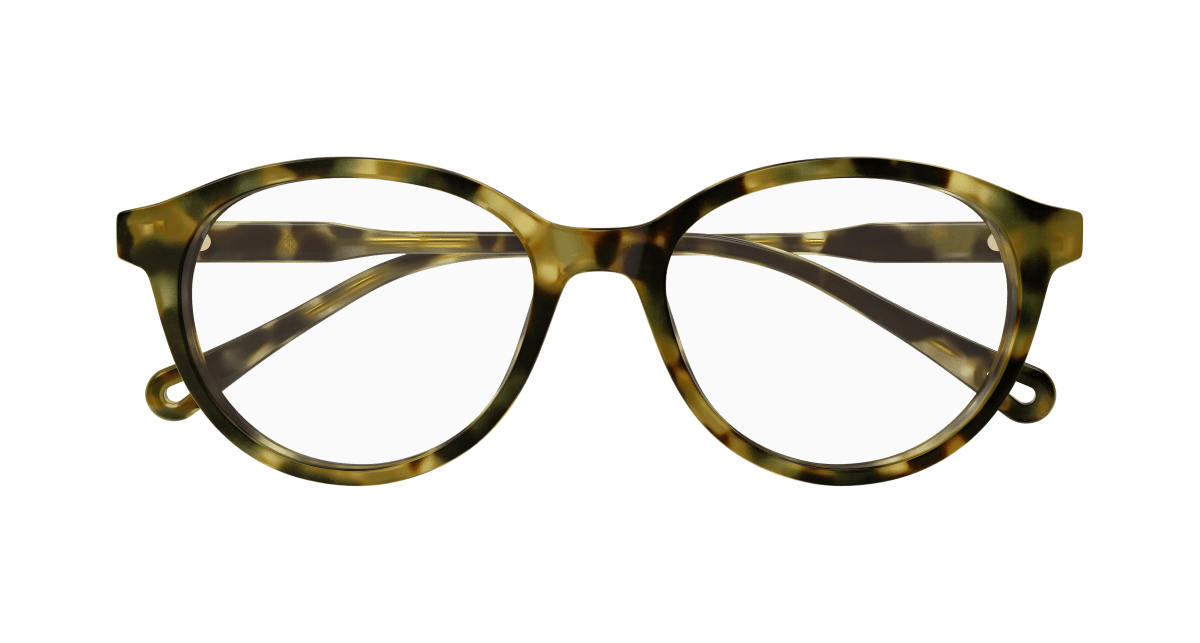 Chloé CH0316OA Havana 889652544717
