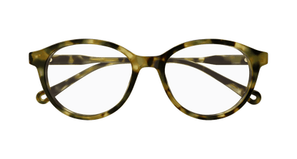 Chloé CH0316OA Havana 889652544717