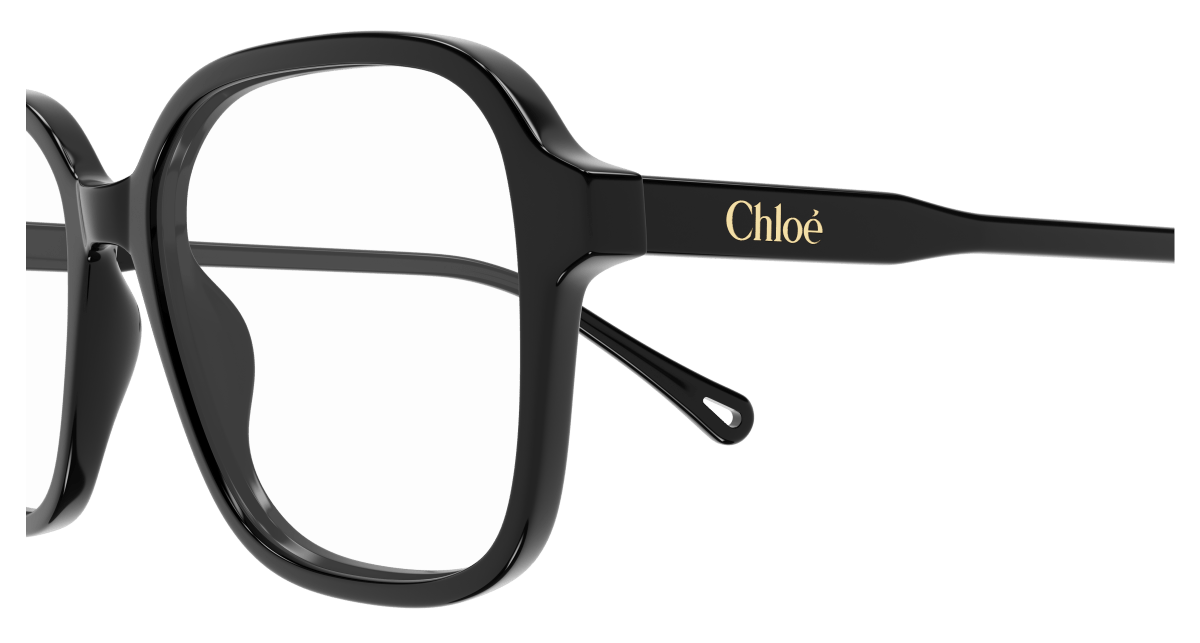 Chloe CH0317OA Eyeglasses 889652544748