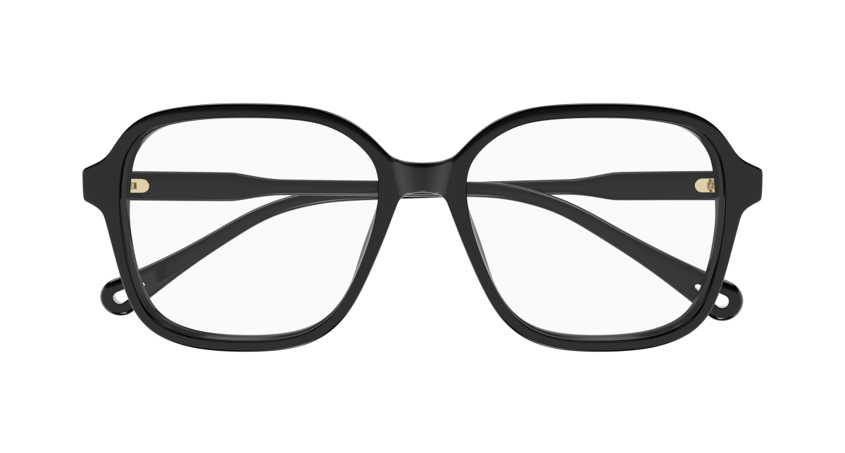 Chloe CH0317OA Eyeglasses 889652544748