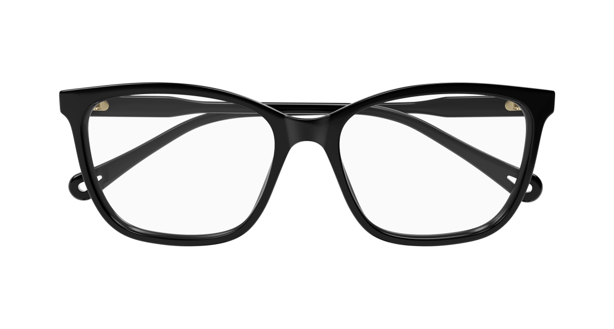 Chloe CH0318O Eyeglasses 889652550923