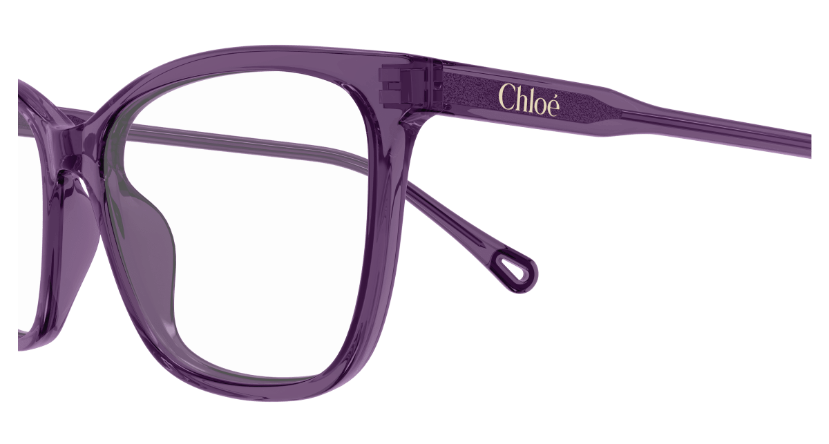 Chloe CH0318O Eyeglasses 889652550954