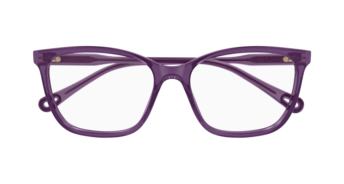 Chloe CH0318O Eyeglasses 889652550954