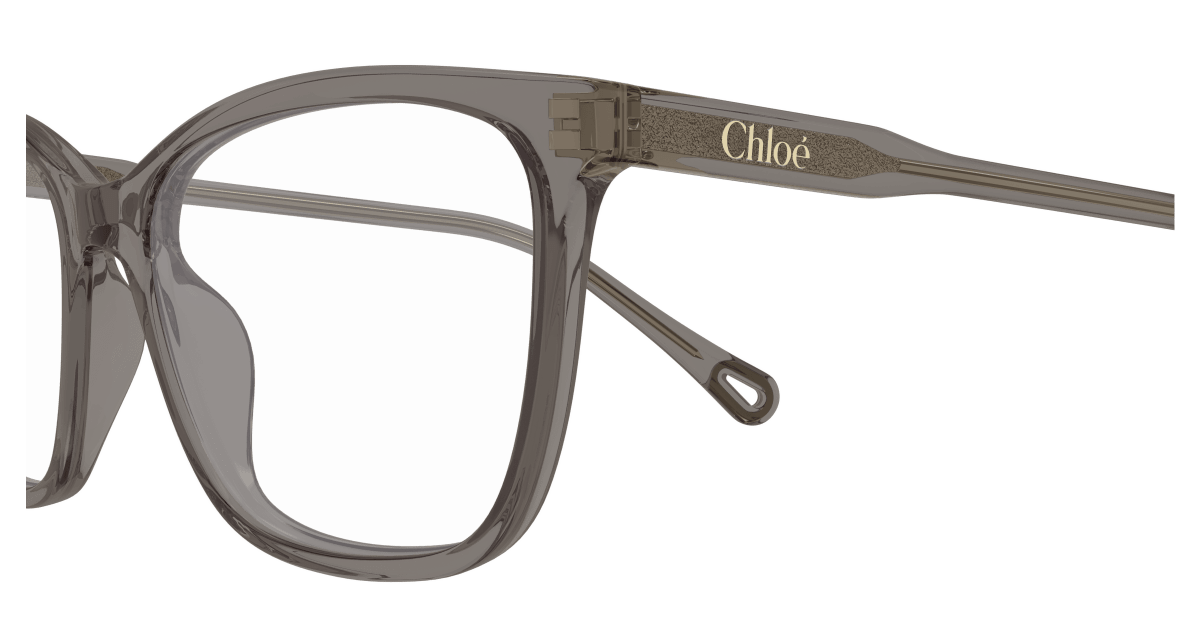 Chloé CH0318O Grey 889652550947