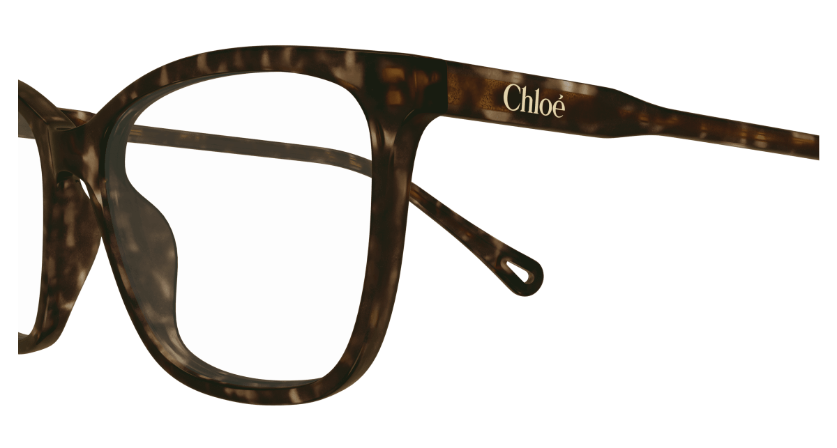 Chloé CH0318O Havana 889652550930
