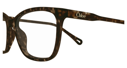 Chloé CH0318O Havana 889652550930